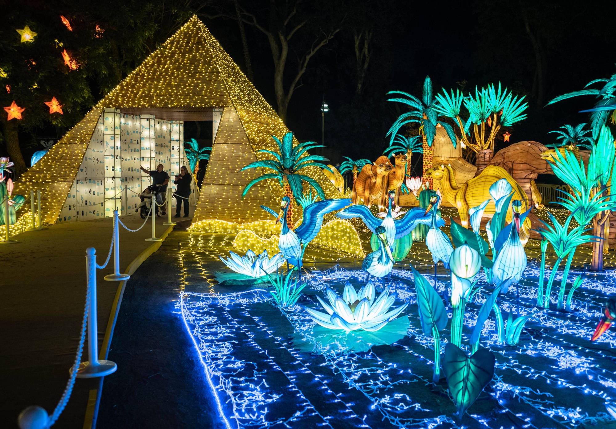 Zoo Lights, Animals Aglow is now open at the LA Zoo and runs through Jan. 11.  This year the annual event features holiday themed world of plants and pollinators featuring larger than life birds, butterflies, insects and flowers. Glowing lanterns depicting wildlife of Southeast Asia, and an African landscape that includes representation of the continent’s iconic regions and wildlife, all illuminated by sculptural lights. (Photo by David Crane, Los Angeles Daily News/SCNG)
