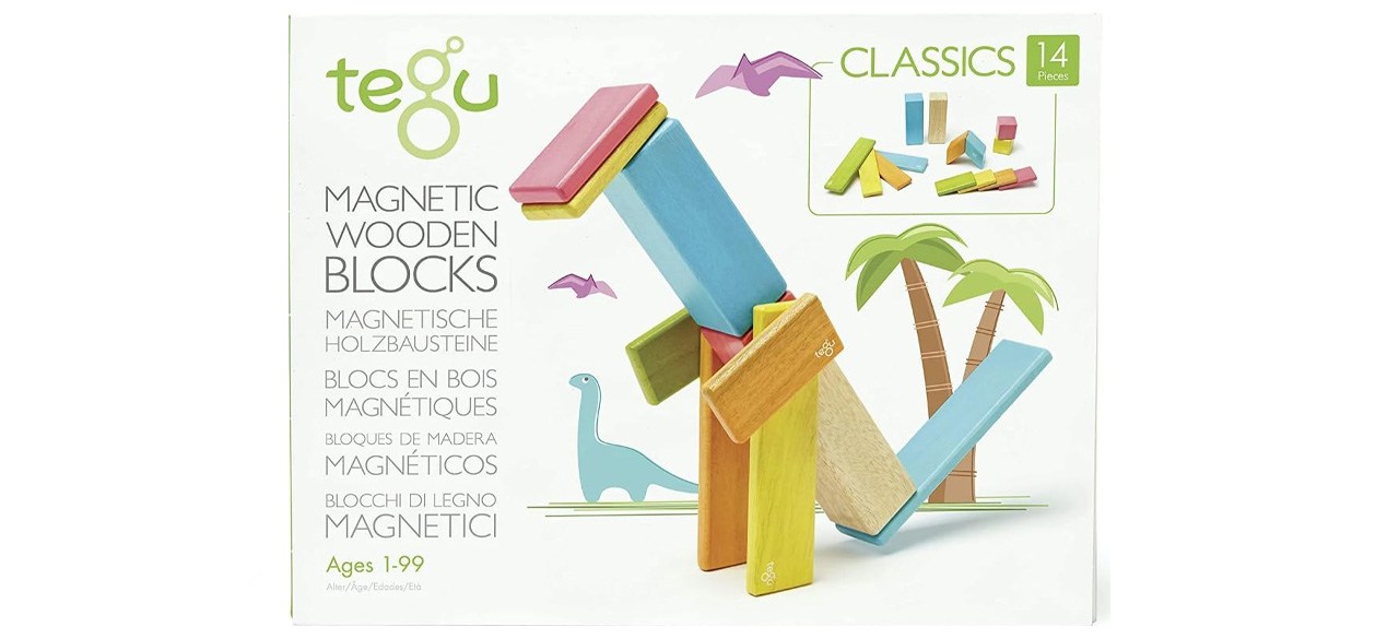 Tegu 14-Piece Magnetic Wooden Block Set